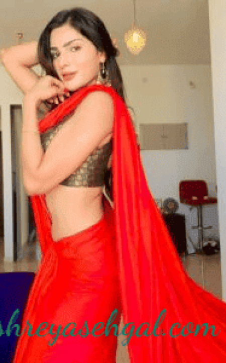Ashnai Mittal Hyderabad escort
