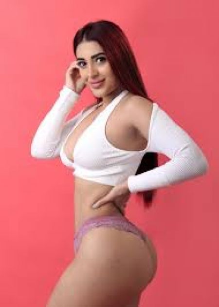 Anisha Escort Delhi Delhi escort